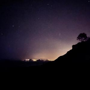 Listen to Ocean Lion 4.4 song with lyrics from Coppice Halifax