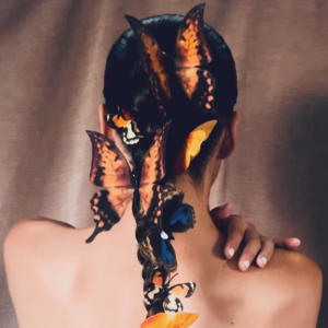 Sierra Sellers的專輯Butterflies