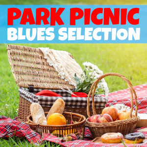Park Picnic Blues Selection dari Various Artists