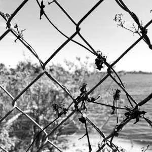 收聽Dacdplays的Said And Done歌詞歌曲