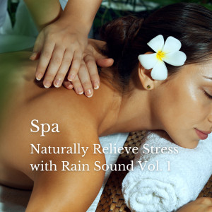 Spa: Naturally Relieve Stress with Rain Sound Vol. 1