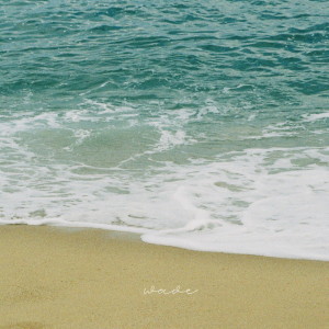 Listen to Wave (feat. Wynn) song with lyrics from 이아람