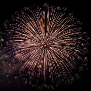 Album summer festival from dayDream
