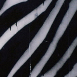 Dengarkan lagu Heaven 4 Assholes nyanyian FAST CAR SLOW CAR dengan lirik