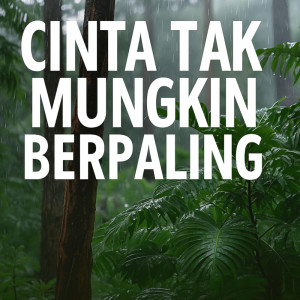 Listen to CINTA TAK MUNGKIN BERPALING song with lyrics from zafry zaf