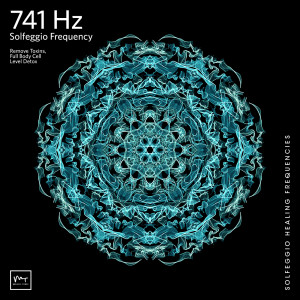 收聽Miracle Tones的741 Hz Full Body Cell Level Detox歌詞歌曲