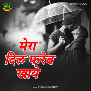 收聽Pooja的Mera Dil Fareeb Khaye歌詞歌曲