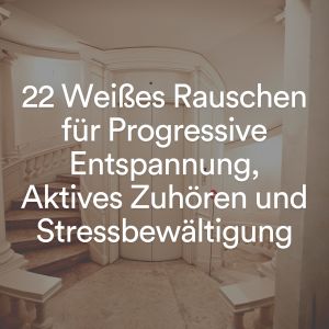 Listen to Rauschverzerrung song with lyrics from Weißes Rauschen