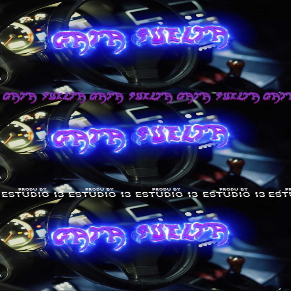 Gata Suelta RKT (feat. El Winner, Emiliano Nahuel, Lapi, Urii Clavero DJ & DimeloElyon)