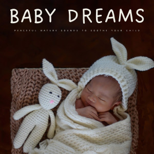 Baby Sweet Dream的專輯Baby Dreams: Peaceful Nature Sounds To Soothe Your Child