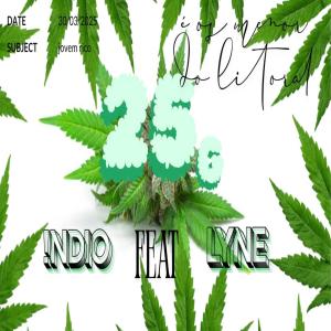 收聽Indio的25g (feat. LYNE) (Explicit)歌詞歌曲