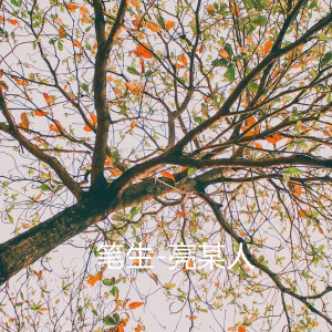 收聽亮某人的筆生歌詞歌曲
