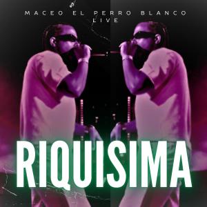 收聽maceo el perro blanco live的riquisima (live)歌詞歌曲