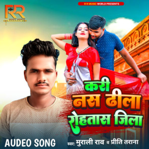 Listen to Kari Nas Dhila Rohtas Jila song with lyrics from Murali Rao