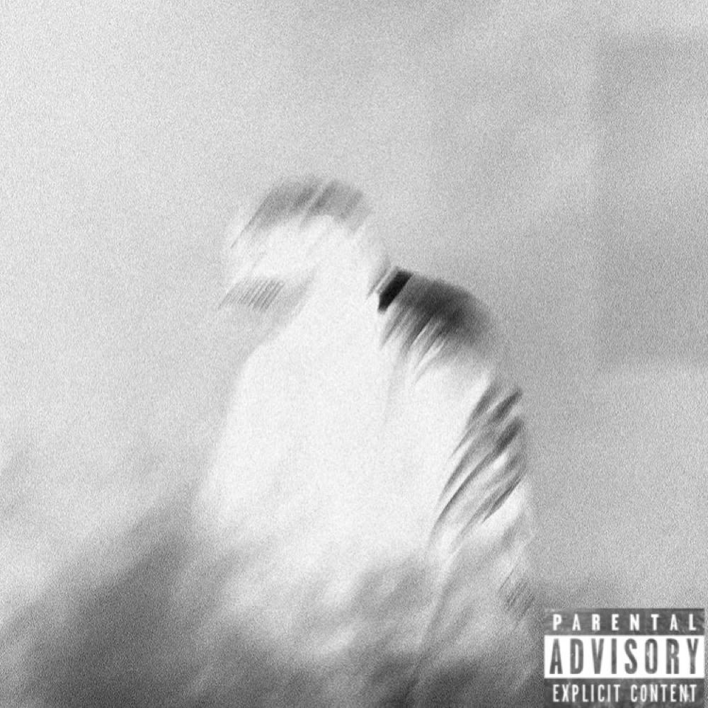 I dont give a F (feat. kubocek) (Explicit)