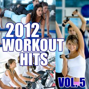 อัลบัม 2012 Workout Hits, Vol. 5 ศิลปิน Workout Remixers