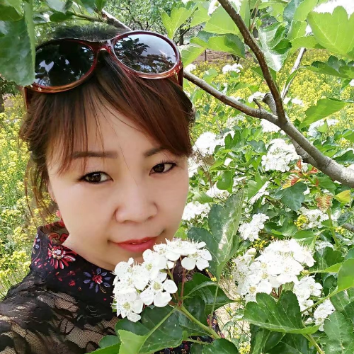温馨四季