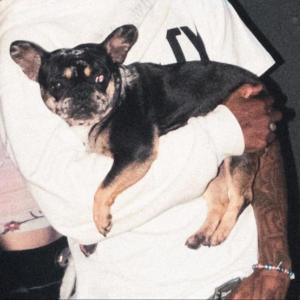 ดาวน์โหลดและฟังเพลง BNM (feat. Pumppfake) (Explicit) พร้อมเนื้อเพลงจาก FN2grimy