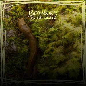Dengarkan lagu Okra Rice nyanyian Asiah Frih dengan lirik