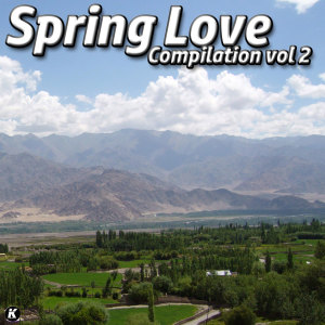 Various的专辑SPRING LOVE COMPILATION VOL 2 (Explicit)