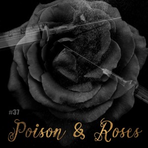 Listen to Poison And Roses song with lyrics from Boy George