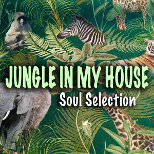 Dengarkan lagu Jungle In My House nyanyian Kool & The Gang dengan lirik