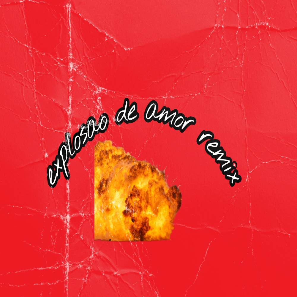 Explosao de Amor Remix (Explicit)