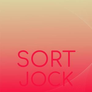 Listen to Lowering Stuffer song with lyrics from Ricole Jard