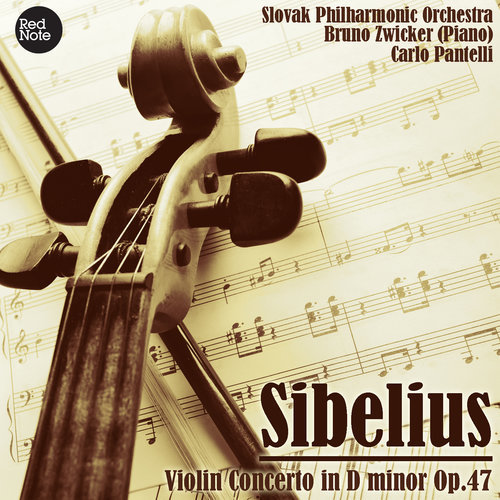 Violin Concerto in D Minor, Op.47: I. Allegro moderato