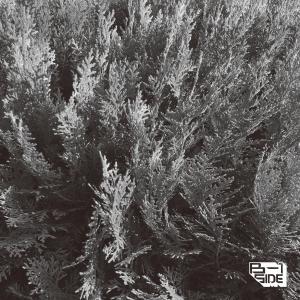 Listen to Yuja-Cha song with lyrics from Broccoliyoutoo