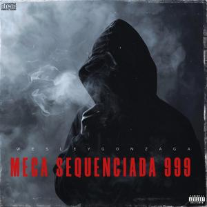 收聽DJ Wesley Gonzaga的Mega Sequenciada 999歌詞歌曲