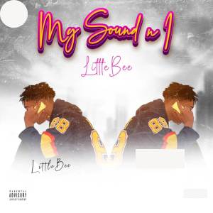 Little Bee的專輯My Sound N I