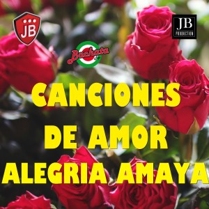 收聽Alegrìa Amaya的Tú (Noelia Cover Mix)歌詞歌曲