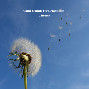 Listen to Wind Sound song with lyrics from J.Roomy