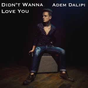 Dengarkan Didn't Wanna Love You lagu dari Adem Dalipi dengan lirik