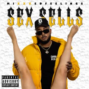 收聽Mixxxed Feelings的Say too Much (feat. Fiona Sofia) (Explicit)歌詞歌曲