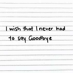 收聽Pete McCredie的Goodbye (Acoustic Guitar Version)歌詞歌曲
