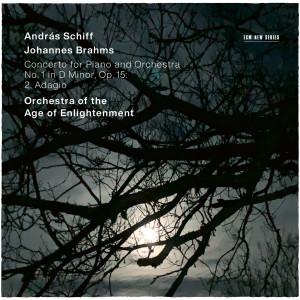 Andras Schiff的專輯Brahms: Piano Concerto No. 1 in D Minor, Op. 15: 2. Adagio