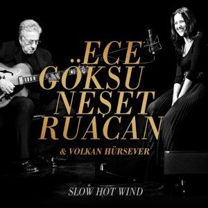 Listen to No Moon at All song with lyrics from Ece Göksu