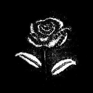 Xona的專輯Una Rosa