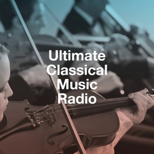 Dengarkan lagu IV. Allegro molto nyanyian The Image Orchestra dengan lirik