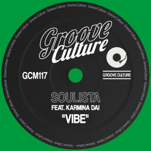 Listen to Vibe (Radio Edit) song with lyrics from Soulista