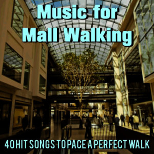 DJ Playback的專輯Music for Mall Walking: 40 Hit Songs to Pace a Perfect Walk