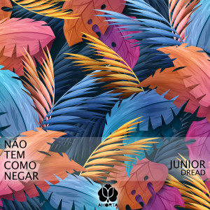 Listen to Não Tem Como Negar song with lyrics from Junior Dread