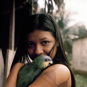 Listen to Veneno Não song with lyrics from Ciência e Poesia