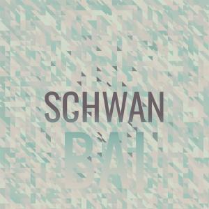 Album Schwan Bai from Various