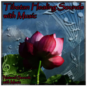 收聽Venerable Tenzin Choesang的Natural Sounds with Music: Tibetan Healing Sounds with Relaxation Music歌詞歌曲
