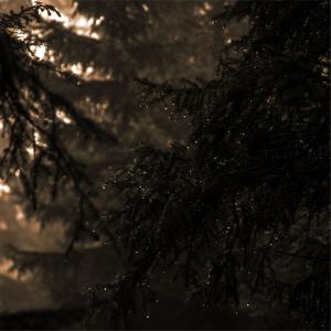 Damien Jeunet的專輯Welcome Home