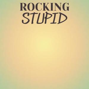 ดาวน์โหลดและฟังเพลง Rocking Stupid พร้อมเนื้อเพลงจาก Dand Bros