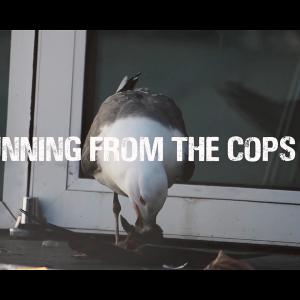 ดาวน์โหลดและฟังเพลง Running from the Cops (feat. el Garro & Mr.Aaron) พร้อมเนื้อเพลงจาก Suko915